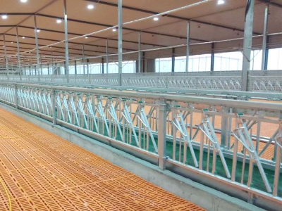 <strong>自鎖式羊頸夾的日常維護(hù)要點(diǎn)</strong>