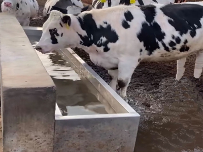 恒溫飲水槽使用年限久了，加熱效率明顯下降，從這些方面排查改進(jìn)